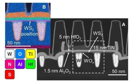 The schematic shows two-dimensional material transistors integrated on a 300 millimeter wafer with a fifty nanometer pitch.