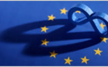 EU regulators order Meta to grant rival AI chatbots free WhatsApp access during an ongoing antitrust probe.
