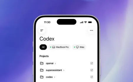 Code snippet illustrating a malicious npm package targeting the OpenAI Codex supply chain vulnerability.
