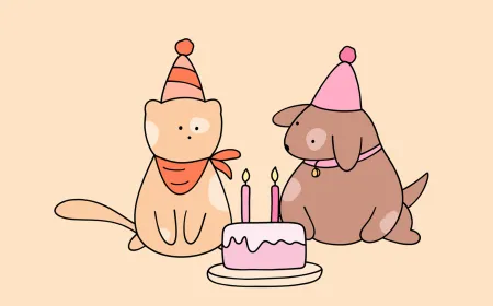 The Bears Gratitude app displays hand-drawn illustrations alongside daily journaling prompts.