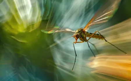 A DSLR camera with a high-magnification zoom lens captures detailed mosquito images for training an AI laser defense system.