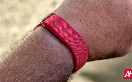 Official design specifications and dimensional tolerances for Fitbit Air bands enable custom additive manufacturing.