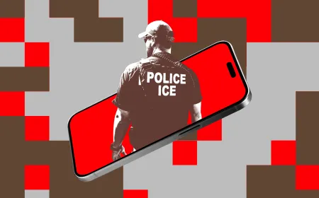 A customs officer inspects a smartphone at a border checkpoint.