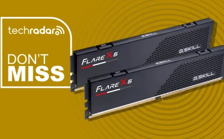 G.SKILL Flare X5 32GB DDR5-6000 dual-channel memory modules.