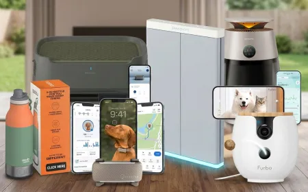Modern canine fitness trackers and portable hydration systems are arranged for outdoor use.