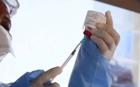 Researchers analyze early stage vaccine candidates for the Bundibugyo Ebola strain