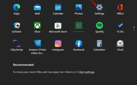The Windows 11 Privacy and Security settings page displays controls for local search history.