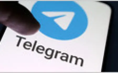 Telegram app interface on a smartphone screen