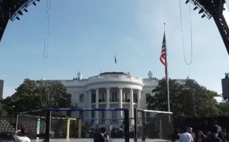 Construction crews build a mixed martial arts tournament venue on the White House South Lawn.