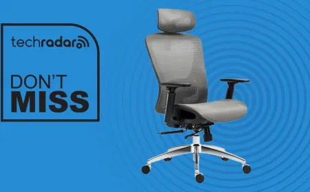 The Boulies EP200 office chair features a breathable mesh back, adjustable seat depth, and a lockable recline mechanism.