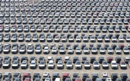 Chinese branded vehicles parked at a dealership