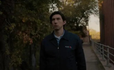 Promotional artwork for Coherence, A Man Called Ove, and Paterson arranged side by side.