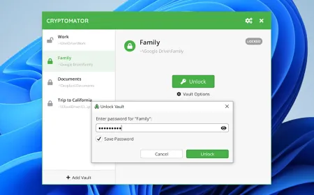 The Cryptomator interface displays a password-protected vault for local and cloud file encryption.
