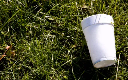 Recycled polystyrene is chemically converted into a solid amine for carbon dioxide capture.
