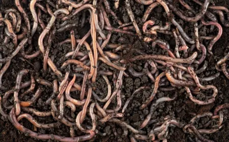 Shai-Hulud malware worms Red Hat npm package versions downloaded 80K times a week