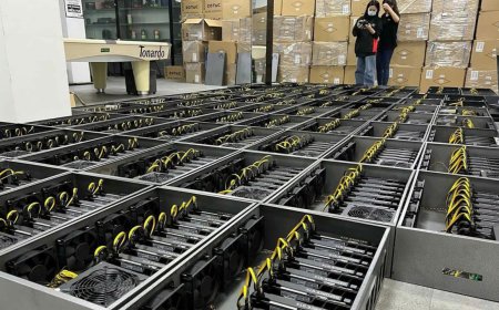 Pearl Cryptocurrency Mining Rush Fades As GPU Returns Halve