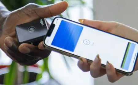 Apple Pay card selection screen showing a grid of eligible payment options with rewards and balance details.