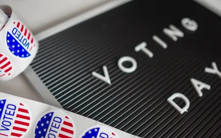 A cybersecurity graphic illustrates malicious domains targeting voters during the 2026 US midterm elections.