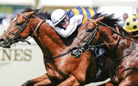 A computer monitor displays live Royal Ascot 2026 horse racing coverage through an online streaming platform.