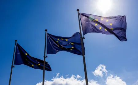 European Commission representatives establish voluntary guidelines for preserving online video games.