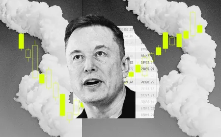 This chart illustrates corporate governance frameworks and market accountability trends in the SpaceX public offering.