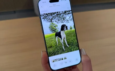 iPhone screen displaying the Spatial Reframe feature.