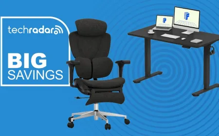 A FlexiSpot standing desk and ergonomic office chair in a home office
