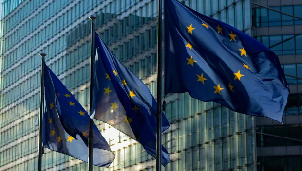 AI Models Frequently Breach European Legal Standards: Study Reveals